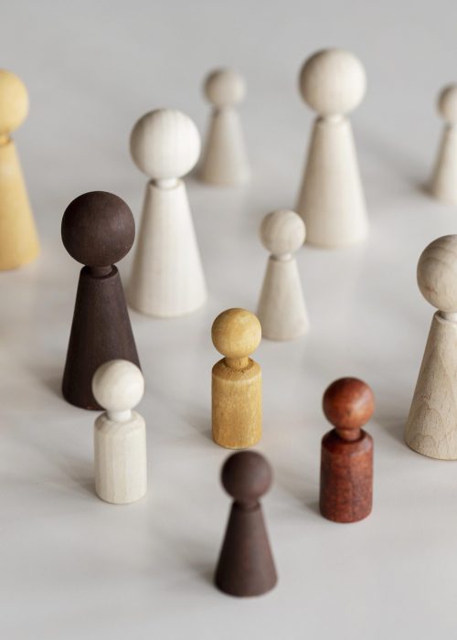 various-wooden-characters-inclusion-concept